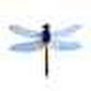 Meet your Posher, Susannah